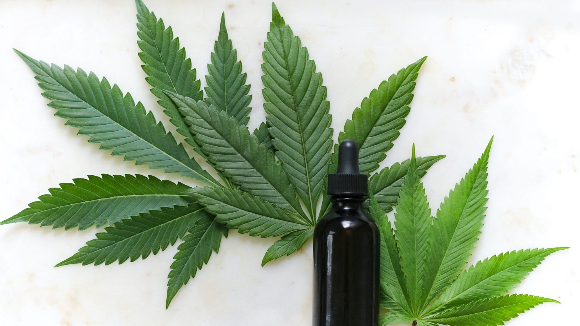 cannabis.co.nz