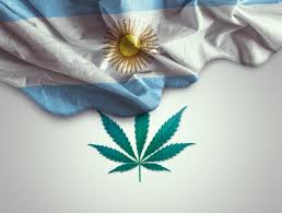 Argentina: The Arriola Decision & The Decriminalization of Cannabis