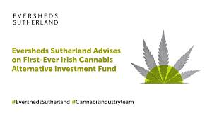 Eversheds advises on medical cannabis private equity fund established in Ireland