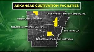 Arkansas: Medical Cannabis Producers Sue To Stop Others Coming Into State Market