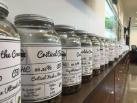 Five Things Every Cannabis Business Needs Before They Open