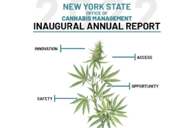 NY State Cannabis Management Inaugural Annual Report