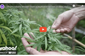 Cannabis industry shouldn’t count on legalization for ‘next 10 years,’ analyst says