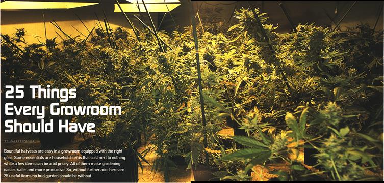 From The Vault: 25 Things Every Growroom Should Have (1999)