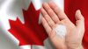 From the Dark Web to the Streets: Meet the Canadian Org Distributing Pure Cocaine to Save Lives