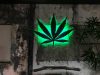 This Is What We Mean When We Say ‘Legalize It’