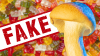 Watch Out Oregon! Some Stores Sell ‘Magic Mushroom Edibles’ With No Psilocybin