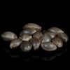 10 Hard Truths Every Cannabis Breeder Learns