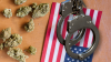 Progress? Yes. Justice? Not Yet: Cannabis Possession Still Makes Up 20% of US Drug Arrests