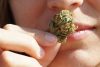 Scientists Say Weed Has 4 Aroma Categories… and One Straight-Up Smells Like Poo