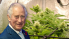 From Royal Balls to Weed Walls: Massive Grow Found in Mansion Linked to King Charles III