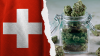 Zurich’s Weed Trial Is Working So Well Switzerland Just Extended It Again