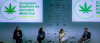 Brazil Just Quietly Hit 873,000 Medical Cannabis Patients. The Industry Convenes In São Paulo This Month.